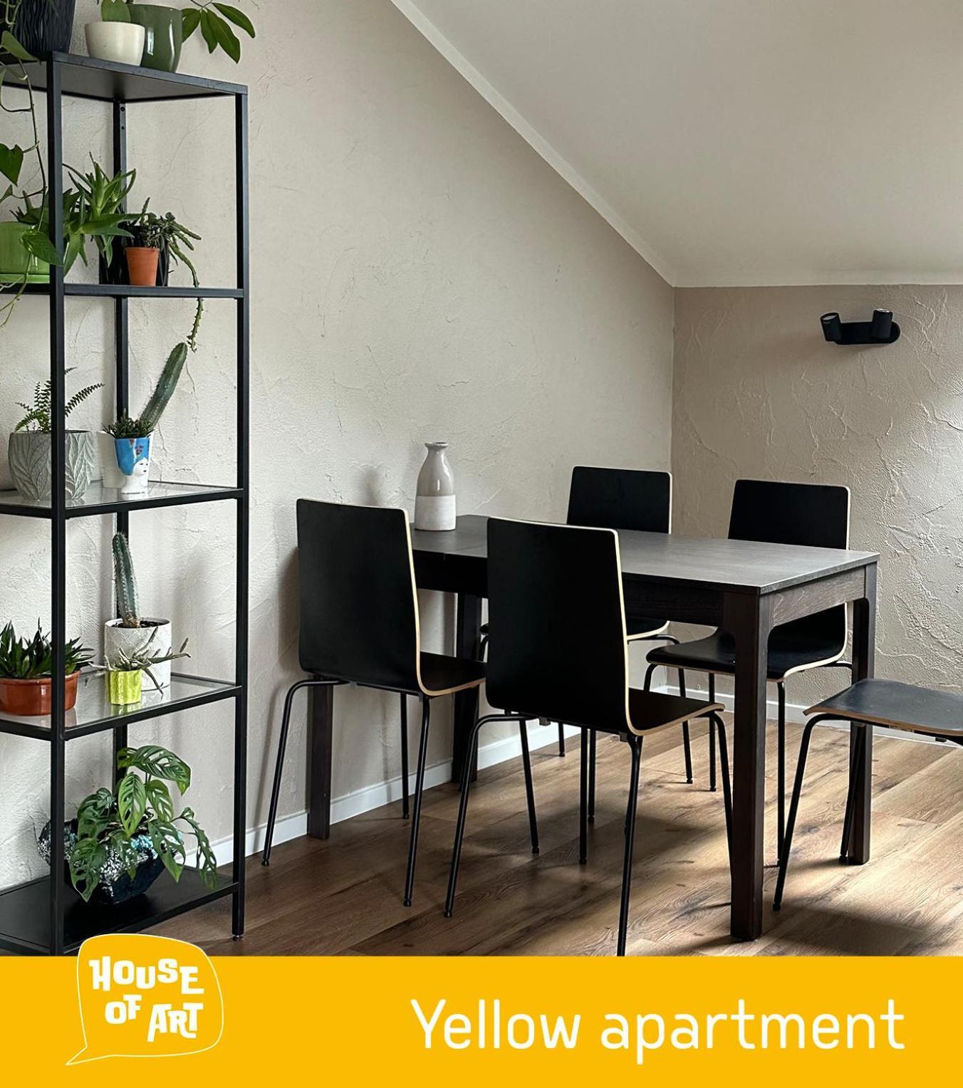 House Of Art Apartment